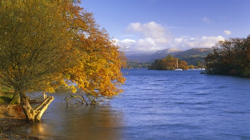 View over the water on the Claife Estate on the western shore of Windermere, Lake District